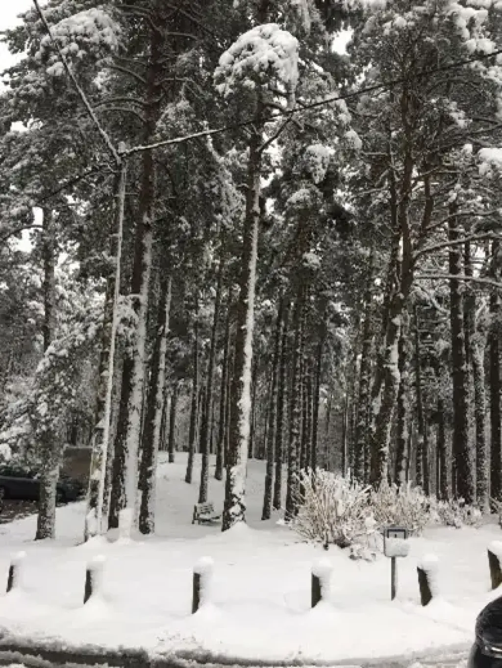 LA MONTAGNE NOIRE SOUS LA NEIGE